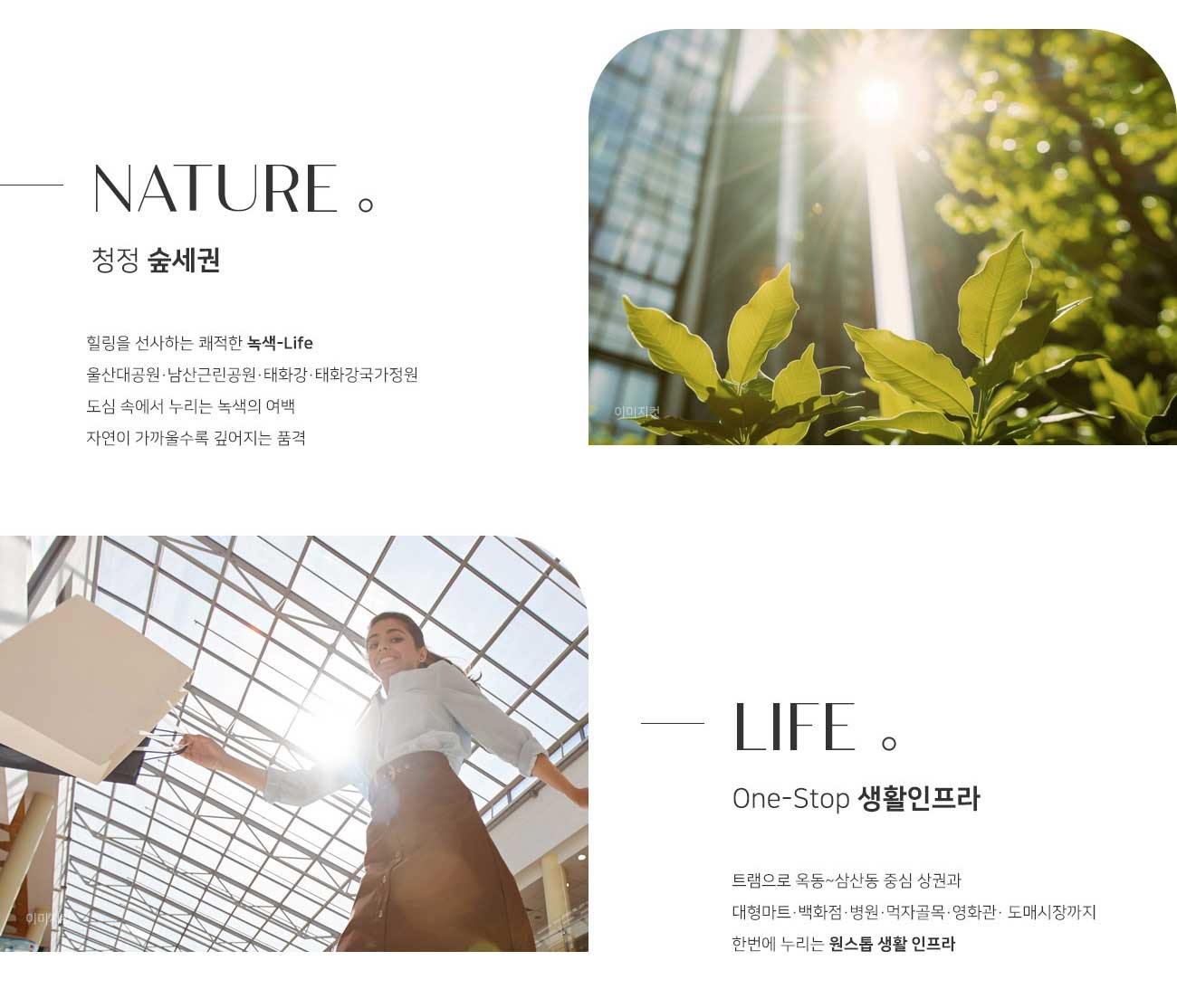 문수로라티에르673 프리미엄2